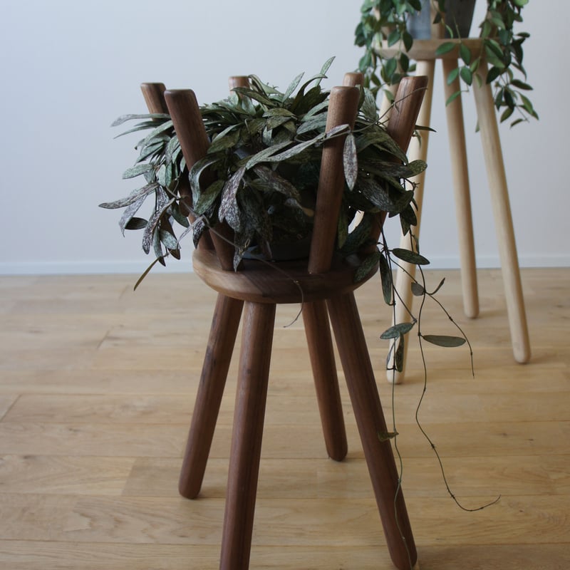Botanical Stool 'crown' Mｻｲｽﾞ | kaguseisakusho'