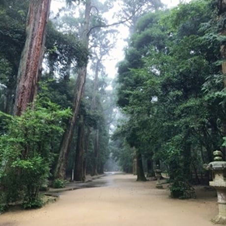 【星夢先生】本気の病気平癒（補償対応あり・半額返金保証あり）