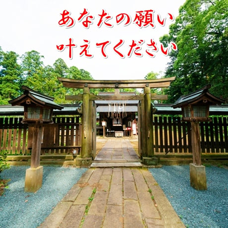 【星夢先生】60年に一度だけの術鑑定・三段階の特別対応