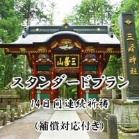 【川端先生】14日間連続祈祷（補償対応付き）