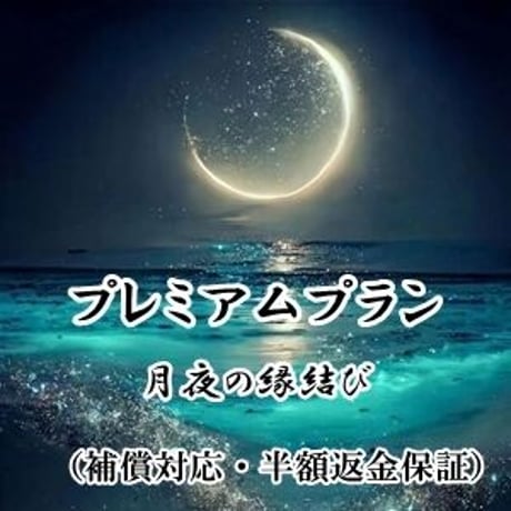 【瑞谷先生】月夜の縁結び（補償対応あり＆半額返金保証あり）