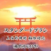 【星夢先生】高位祈祷術 極限対応（補償対応付き）