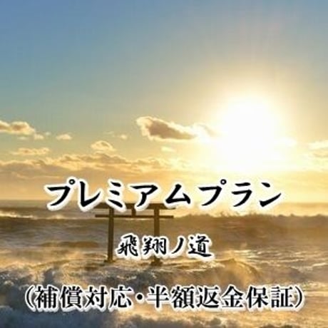 【星夢先生】飛翔ノ道（補償対応あり＆半額返金保証あり）