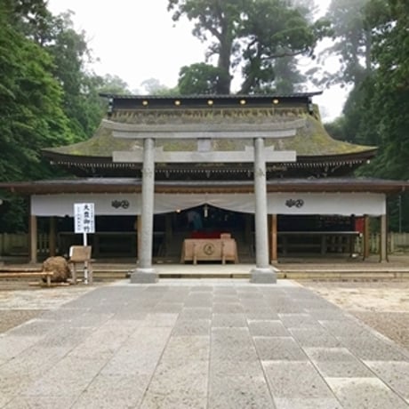 【星夢先生】本気の病気平癒（補償対応あり・半額返金保証あり）