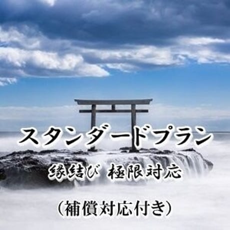【星夢先生】縁結び 極限対応（補償対応付き）