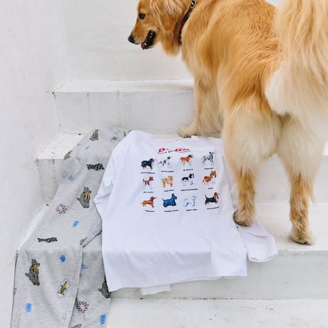 ＣommonNoun × Hirochika Machida Dog 天竺ロンT　(Limited Relaunch)