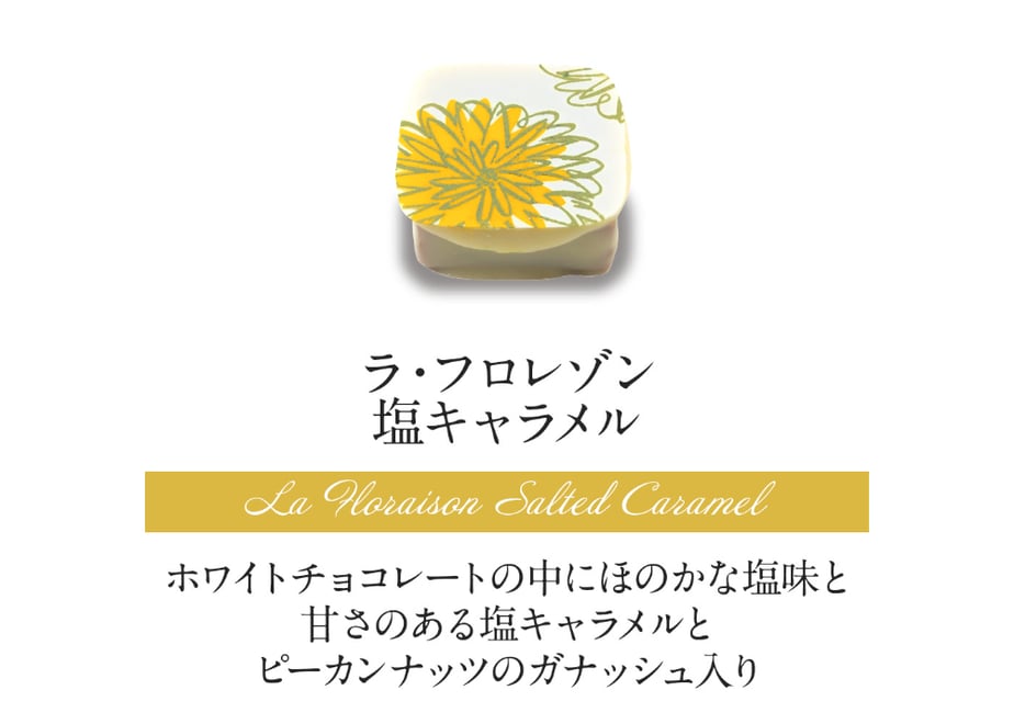 63b800e44405427820c70f5e