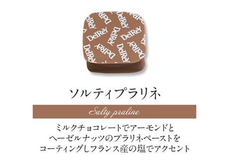 ショコラセレクション16個入