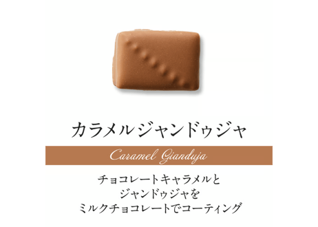ショコラセレクション16個入