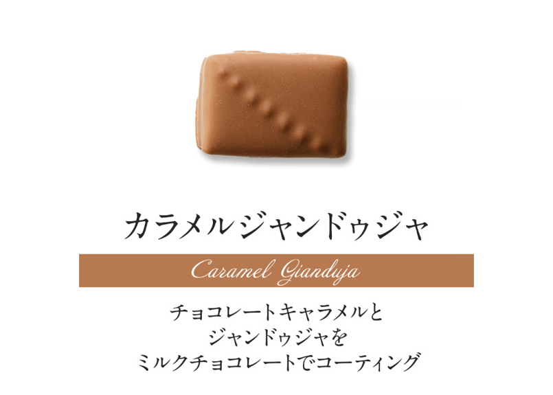 ショコラセレクション16個入 | DelReY 公式オンラインショップ