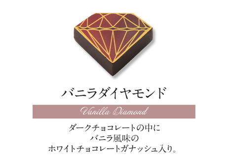 ショコラセレクション20個入