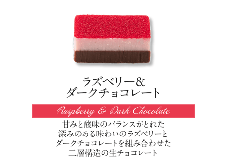【2層生チョコ】ハーモニアス10個入