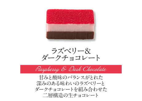 【2層生チョコ】ハーモニアス8個入