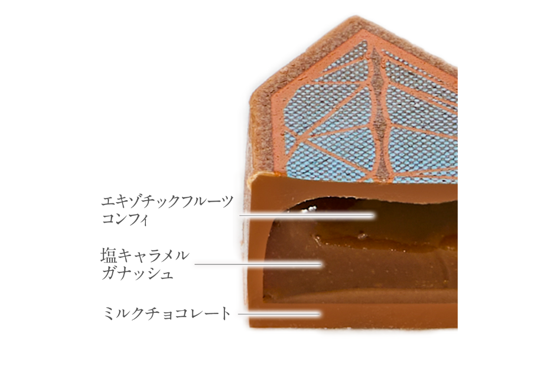 ダイヤモンドコレクションBOX6個入 | DelReY 公式オンラインショップ