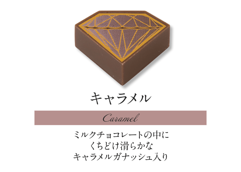 ショコラセレクション20個入 | DelReY 公式オンラインショップ