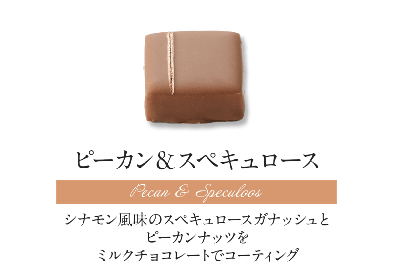 ショコラセレクション6個入 | DelReY 公式オンラインショップ