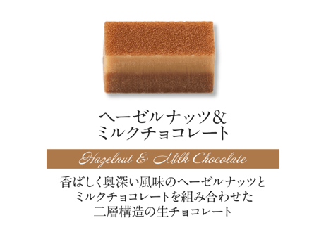 【2層生チョコ】ハーモニアス10個入