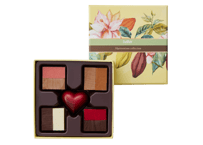 【2層生チョコ】ハーモニアス9個入
