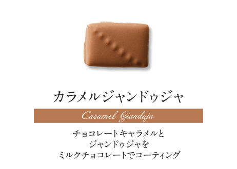 ショコラセレクション20個入