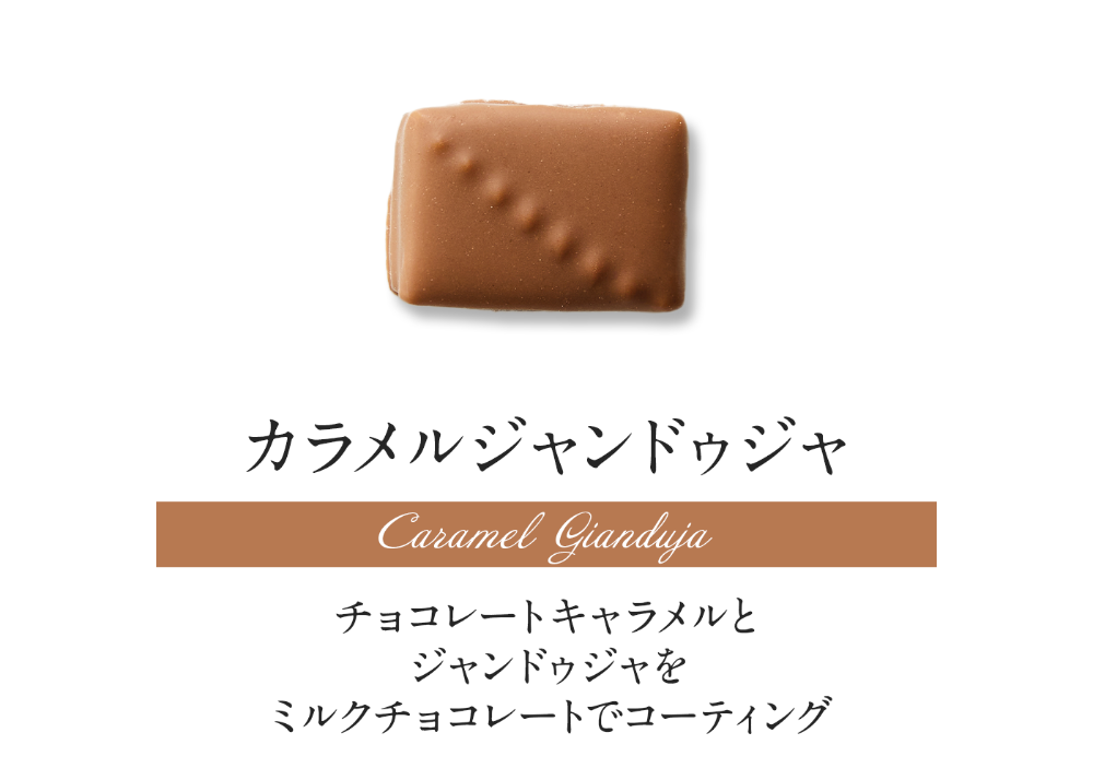 ショコラオーダーページ ショコラ* オーダーページ ショコラ* オーダーページ XXOCOA online