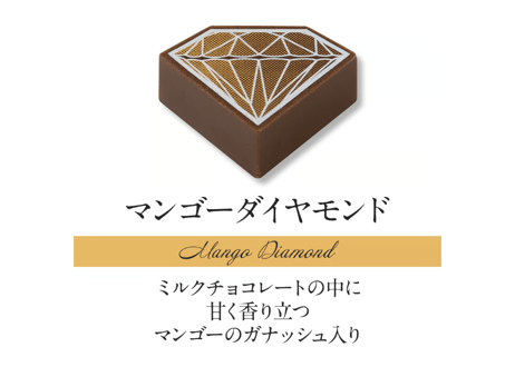 アントワープセレクションBOX16個入