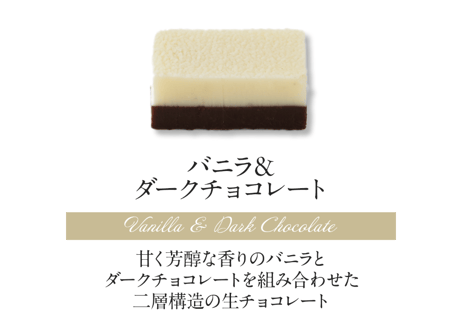 【2層生チョコ】ハーモニアス10個入