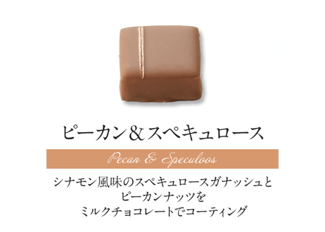 ショコラセレクション16個入