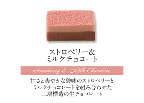 【2層生チョコ】ハーモニアス9個入