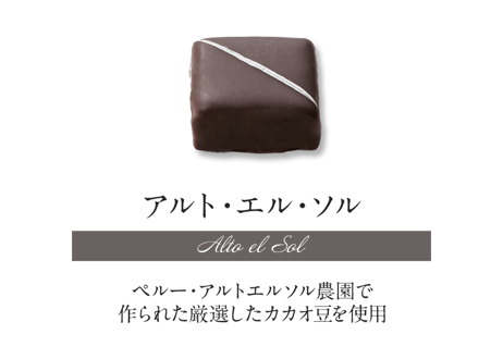 ショコラセレクション20個入