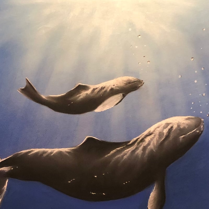 クジラの親子 | ☆Megu gallery☆ 