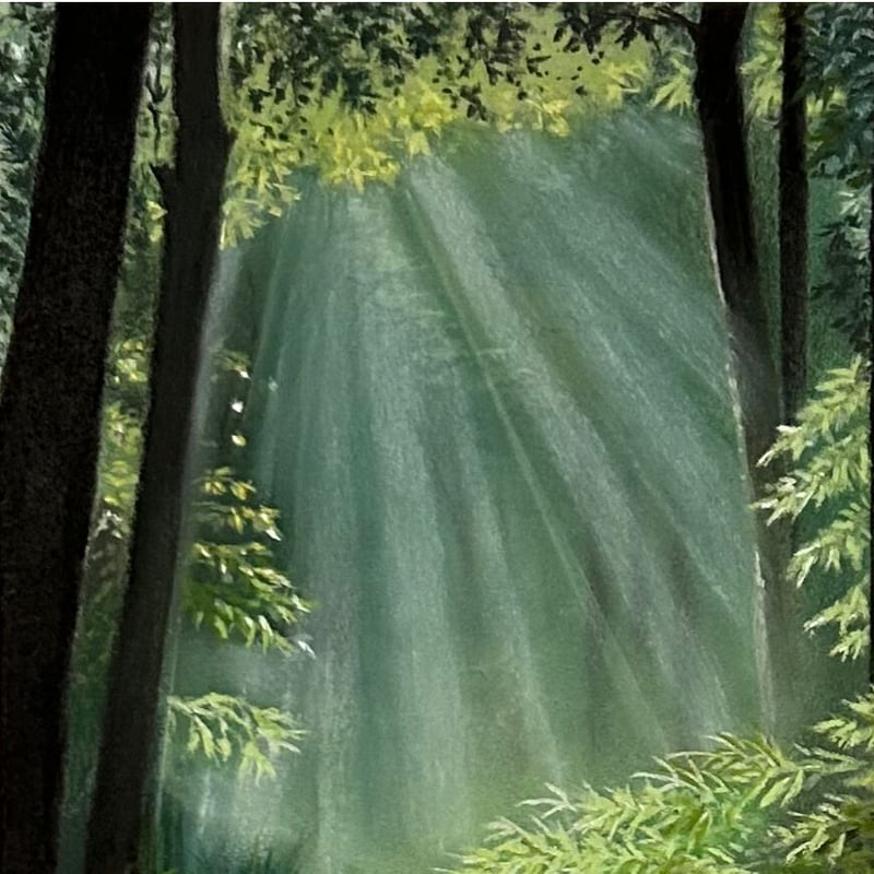 森の中に差し込む光 | ☆Megu gallery☆