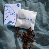 藍の種とZINE　indigo seeds & ZINE