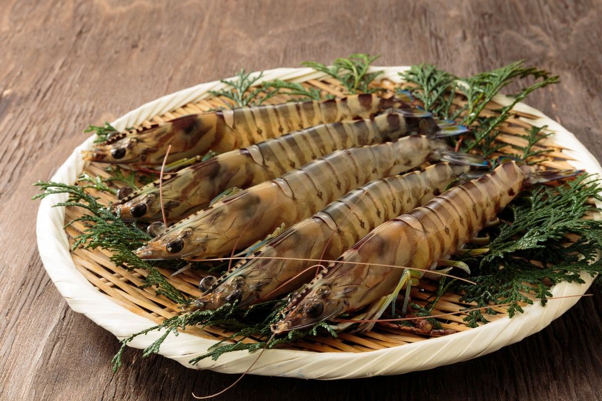 石垣の車海老 | 沖縄えびせんべい えびたま