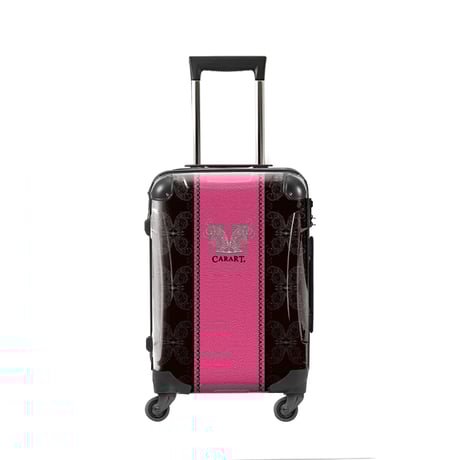 アートスーツケース #CRA02WS-004D｜ベーシック グラム（ピンク）