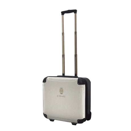 アートスーツケース #CRB01-031E｜ビジネス　ナイト（ホワイト）
