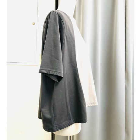 ＣＲＥＳＣＥＮＴ  　配色デザインＴシャツ