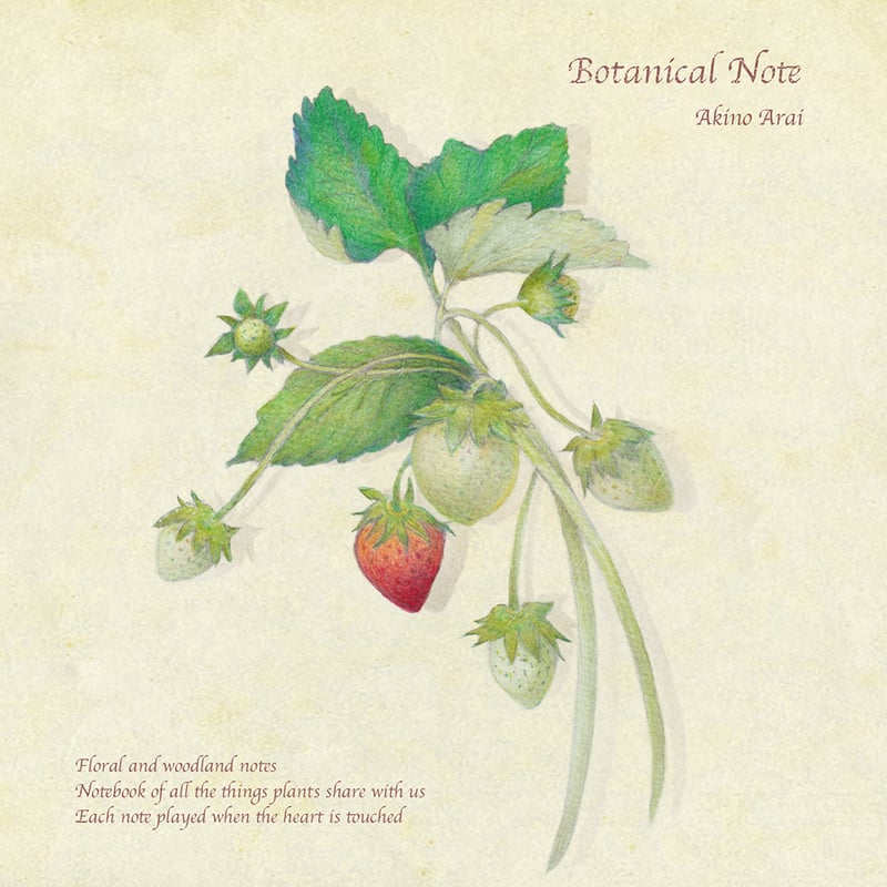 Botanical Note CD / 新居昭乃 | pureheart-label's S