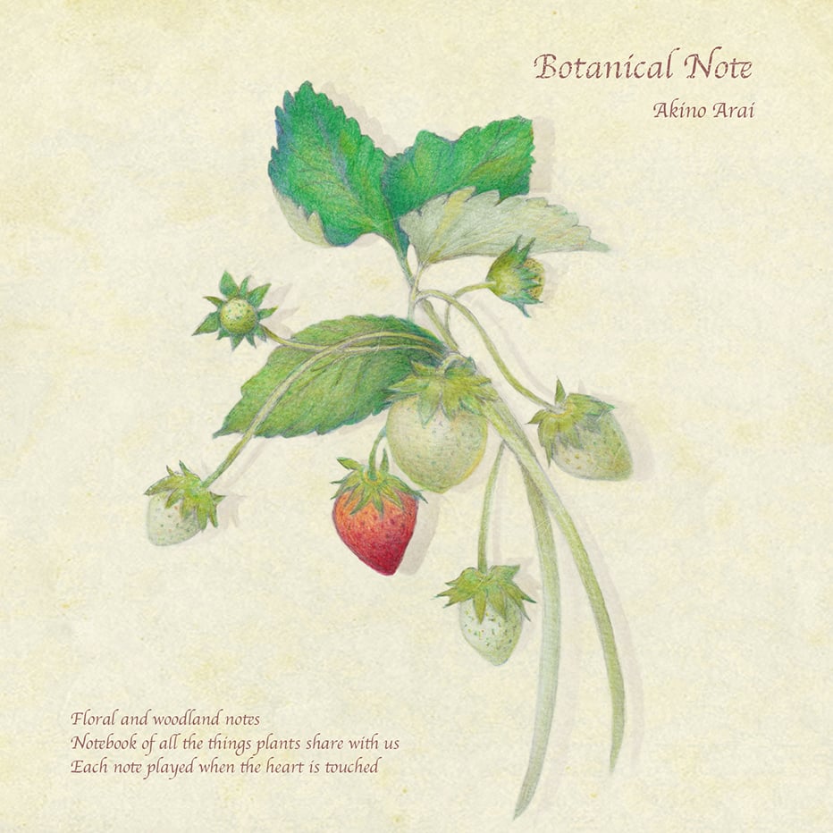 Botanical Note CD / 新居昭乃 | pureheart-label's S