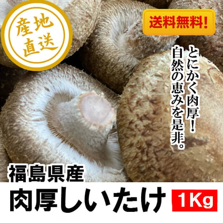 【送料無料】福島県産　肉厚しいたけ　1Kg