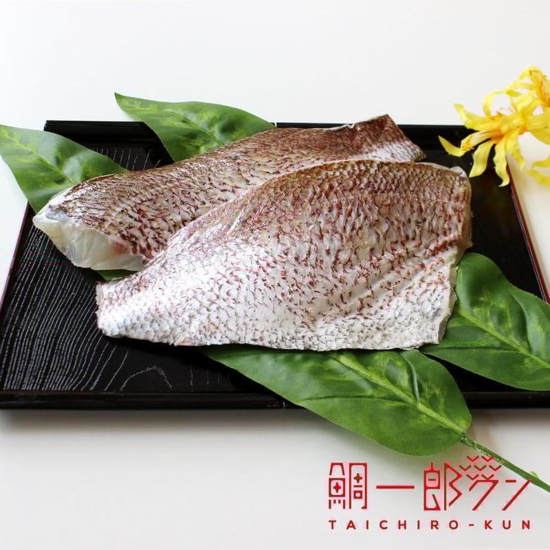 7~8人前】「鯛一郎クン」フィレ（3枚おろし）皮あり2枚《冷凍》 | 鯛