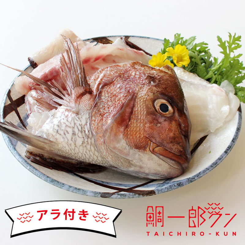 7~8人前】「鯛一郎クン」フィレ（3枚おろし）皮あり2枚《冷凍》 | 鯛