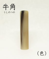 実印】 牛角（ 白極上 ）15mm ケース付 納期14日 | 宝文堂印舗 印章
