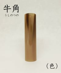 実印】 牛角（ 色 ）13.5mm ケース付 納期14日 | 宝文堂印舗 印章彫刻