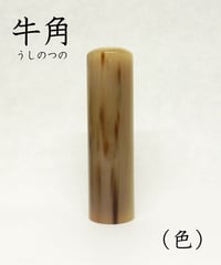 実印】 牛角（ 色 ）18mm ケース付 納期14日 | 宝文堂印舗 印章彫刻