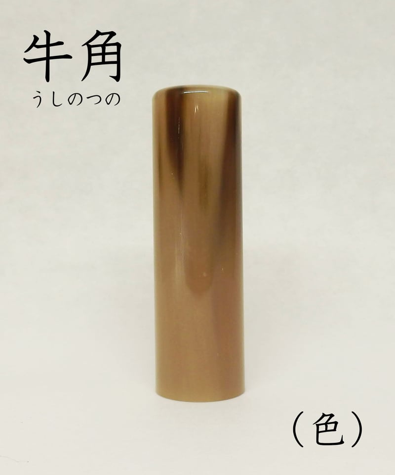実印】 牛角（ 色 ）18mm ケース付 納期14日 | 宝文堂印舗 印章