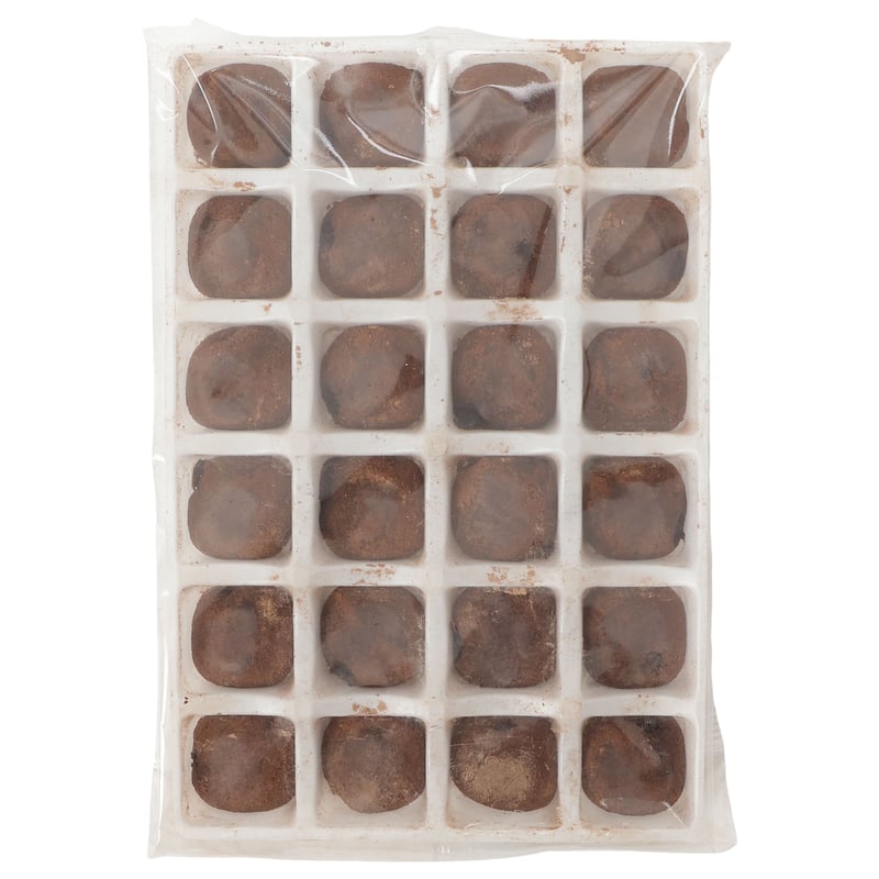 カワウソちゃんのチョコもちっこ | 宮島水族館オンラインショップ