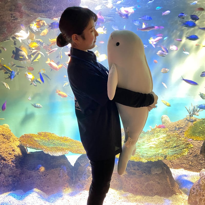 特大もちもちスナメリ ホワイト | 宮島水族館オンラインショップ