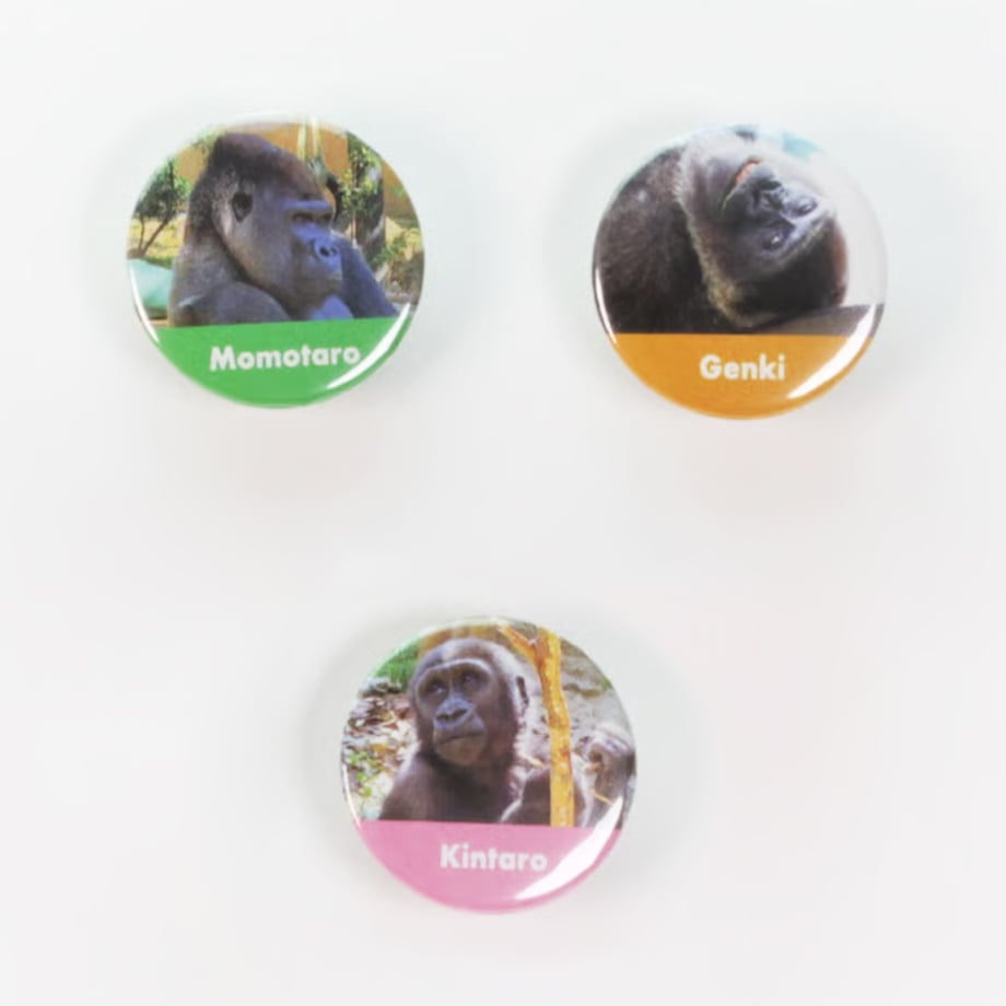 缶マグネット ゴリラの日 | GORILLAND ONLINE SHOP