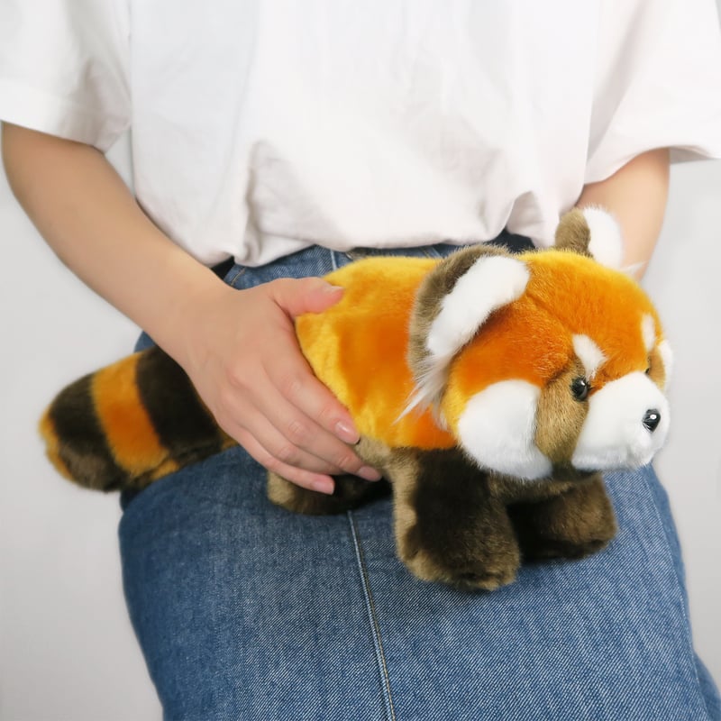 ぬいぐるみ リアルレッサーパンダ | GORILLAND ONLINE SHOP