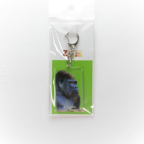 GORILLAND ONLINE SHOP